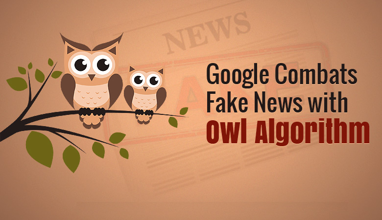 Owl algorithm